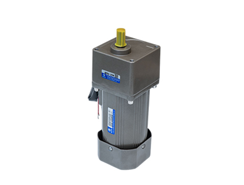 微型定速電機(jī)